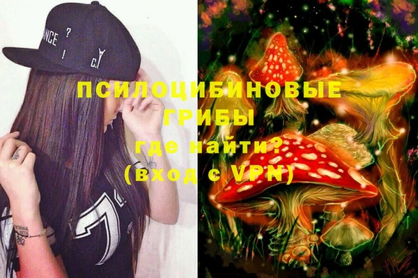 ECSTASY Алексеевка