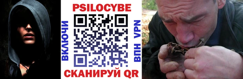 Галлюциногенные грибы Psilocybine cubensis  блэк спрут рабочий сайт  Петровск-Забайкальский  где купить наркотик 