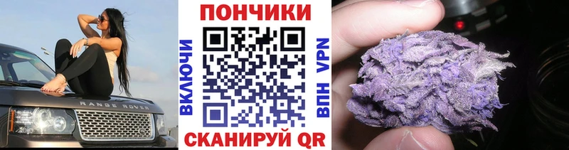 Бошки марихуана планчик Петровск-Забайкальский